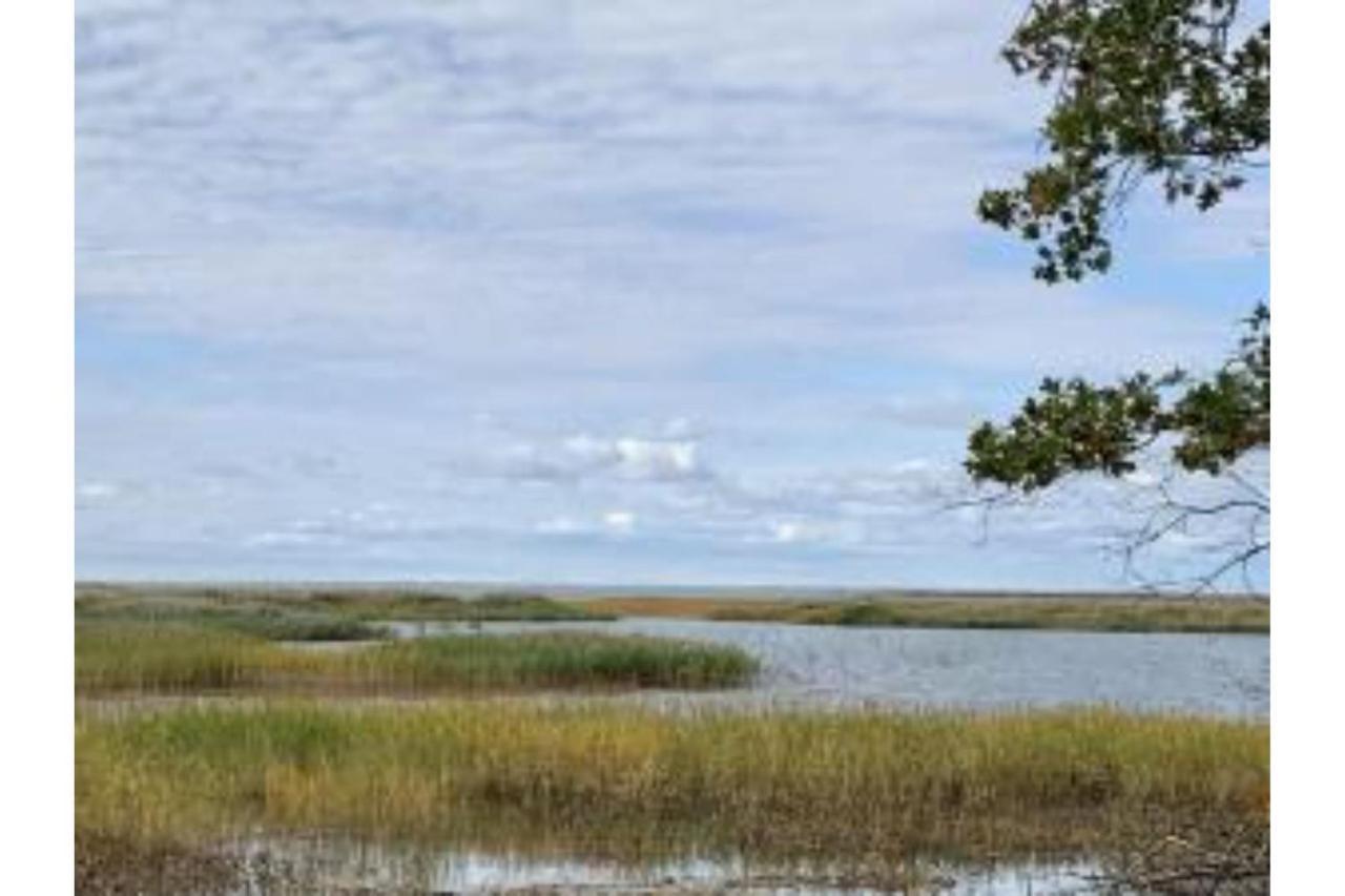 Lakeview & Wildlife Au Gres Exterior foto