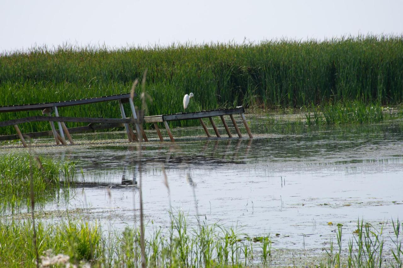 Lakeview & Wildlife Au Gres Exterior foto